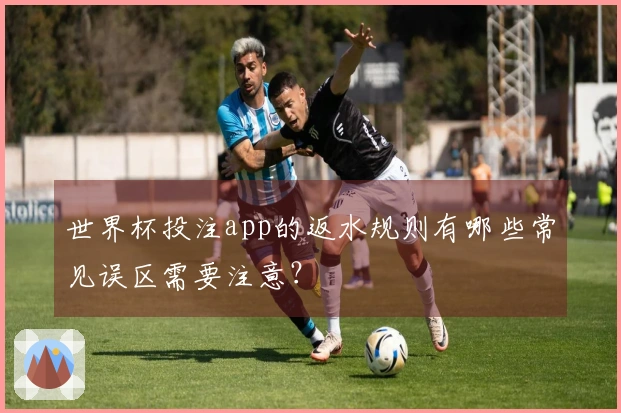 世界杯投注app的返水规则有哪些常见误区需要注意？