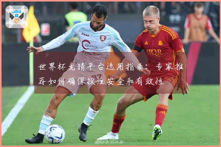 世界杯竞猜平台选用指南：专家推荐如何确保投注安全和有效性