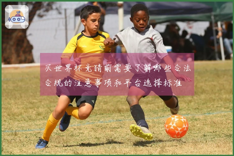 买世界杯竞猜前需要了解哪些合法合规的注意事项和平台选择标准