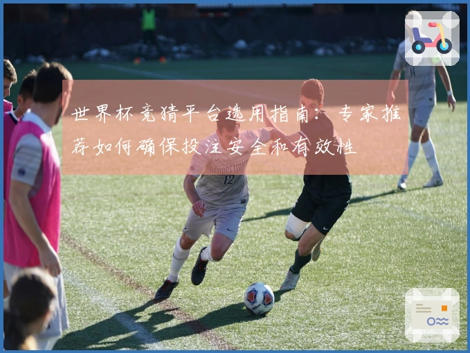 世界杯竞猜平台选用指南：专家推荐如何确保投注安全和有效性